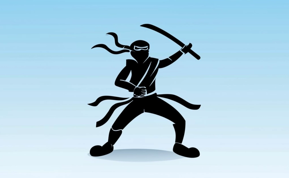 Ninja VPN: fast, secretive, elusive