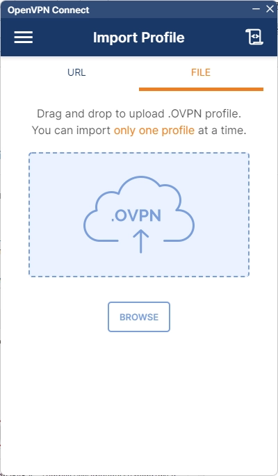 OpenVPN import config file