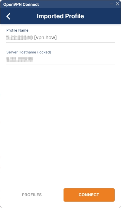 OpenVPN loading config